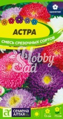 Цветы Астра Смесь Срезочных Сортов (0,3 гр) Семена Алтая