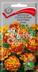 Цветы Бархатцы Болеро отклоненные махровые (0,4 г) Поиск
