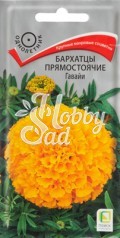 Цветы Бархатцы Гавайи (Тагетес прямостоячий) (0,4 г) Поиск