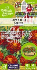 Цветы Бархатцы Кармен махровые (0,3 г) Семена Алтая серия Ваш Яркий Балкон