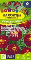 Цветы Бархатцы Скарлет София махровые (0,2 г) Семена Алтая