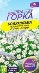 Цветы Брахикома Белое озеро (0,05 г) Семена Алтая серия Альпийская горка