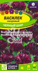 Цветы Василек Черный шар махровый (0,5 г) Семена Алтая