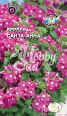 Цветы Вербена Санта-Анна розовая (0,1 г) Седек