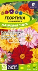 Цветы Георгина Махровая смесь окрасок (0,2 г) Семена Алтая