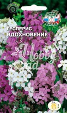 Цветы Гесперис Вдохновение (1 г) Седек