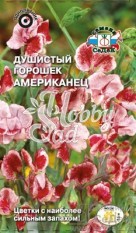 Цветы Душистый Горошек Американец (ярко-красные с белыми штрихами) (0,5 г) Седек