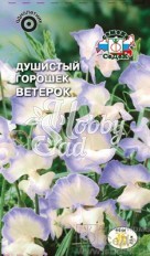 Цветы Душистый Горошек Ветерок  (0,5 г) Седек