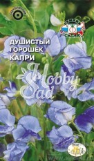 Цветы Душистый Горошек Капри  (1 г) Седек