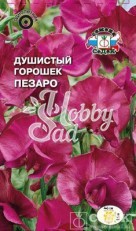 Цветы Душистый Горошек Пезаро (1 г) Седек