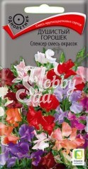 Цветы Душистый горошек Спенсер красный (1 г) Поиск