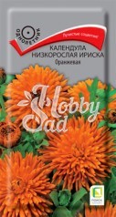 Цветы Календула Ириска Оранжевая низкорослая (10 шт) Поиск