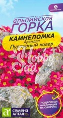 Цветы Камнеломка Пурпурный Ковер Арендса (0,01 г) Семена Алтая серия Альпийская горка