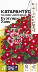 Цветы Катарантус Средиземноморский Бургунди Хало (5 шт) Семена Алтая серия Ампельные Шедевры