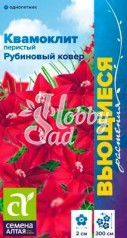 Цветы Квамоклит Рубиновый ковер перистый (0,2 г) Семена Алтая серия Вьющиеся растения