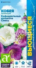 Цветы Кобея Кафедральные колокола Смесь Лазающая (5 шт) Семена Алтая серия Вьющиеся растения