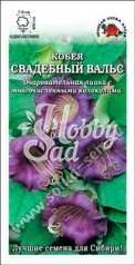 Цветы Кобея Свадебный Вальс (0,3 г) фиолетовая Сотка