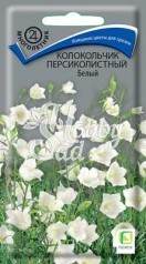 Цветы Колокольчик персиколистный Белый (0,05 г) Поиск