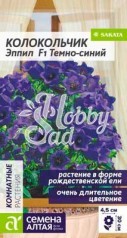 Цветы Колокольчик Эппил F1 средний Темно-синий (3 шт) Семена Алтая Комнатные