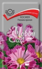 Цветы Космея Ракушка красная (0,1 г) Поиск