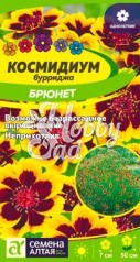 Цветы Космидиум Брюнет (0,01 г) Семена Алтая