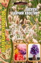 Цветы Лагурус Заячий Хвост (100 шт) ЭКЗОТИКА