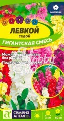 Цветы Левкой Гигантская смесь окрасок (0,2 г) Семена Алтая