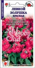 Цветы Левкой Золушка красная (10 шт) Сотка