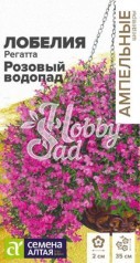 Цветы Лобелия Регатта Розовый Водопад ампельная (8 шт) Семена Алтая серия Ампельные Шедевры