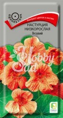 Цветы Настурция Везувий низкорослая (1 г) Поиск