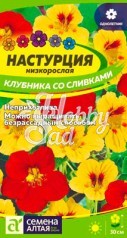 Цветы Настурция Клубника со сливками низкорослая (1 гр) Семена Алтая