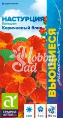 Цветы Настурция Коричневый Блик большая (0,5 гр) Семена Алтая серия Вьющиеся растения