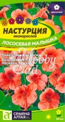 Цветы Настурция Лососевая малышка (1 гр) Семена Алтая