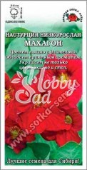 Цветы Настурция Махаон ( 0,5 г) махровая Сотка