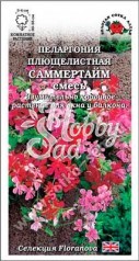 Цветы Пеларгония Саммертайм плющелистная (3 шт) смесь Сотка