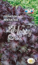 Цветы Перилла Мулатка (0,1 г) Седек