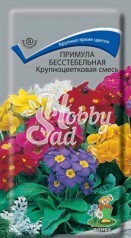 Цветы Примула Крупноцветковая смесь (бесстебельная) (0,04 г) Поиск