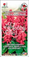 Цветы Сальвия Виста Розовая (10 шт) Сотка