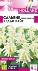 Цветы Сальвия Редди Вайт сверкающая (5 шт) Семена Алтая