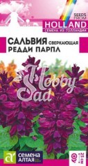 Цветы Сальвия Редди Парпл сверкающая (5 шт) Семена Алтая