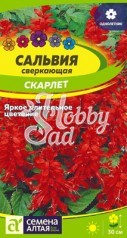 Цветы Сальвия Скарлет сверкающая (0,1 г) Семена Алтая