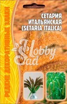 Цветы Сетария Итальянская (0,1 гр) ЭКЗОТИКА