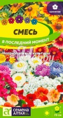 Цветы Смесь В последний момент цветочная (0,5 г) Семена Алтая