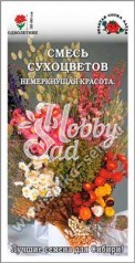 Цветы Смесь Сухоцетов (0,3 г) Сотка