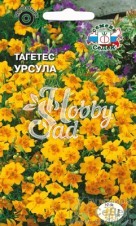 Цветы Тагетес Урсула (0,1г) Седек