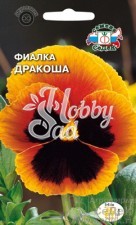 Цветы Фиалка Дракоша (желтая с красными крыльями) (0,05 г) Седек