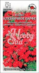 Цветы Флокс Клубничное Парфе (0,2 г) Сотка