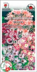 Цветы Флокс Млечный путь смесь (0,2 г) Сотка