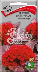 Цветы Целозия Императрица гребенчатая (0,1 г) Поиск