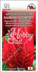 Цветы Целозия Кимоно Скарлет перистая (10 шт) Сотка